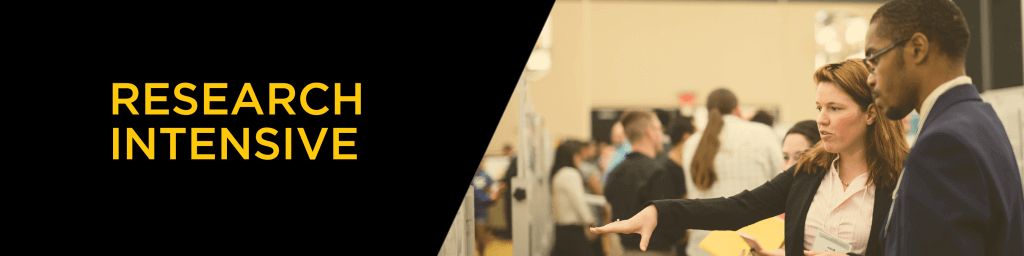 Research Intensive banner
